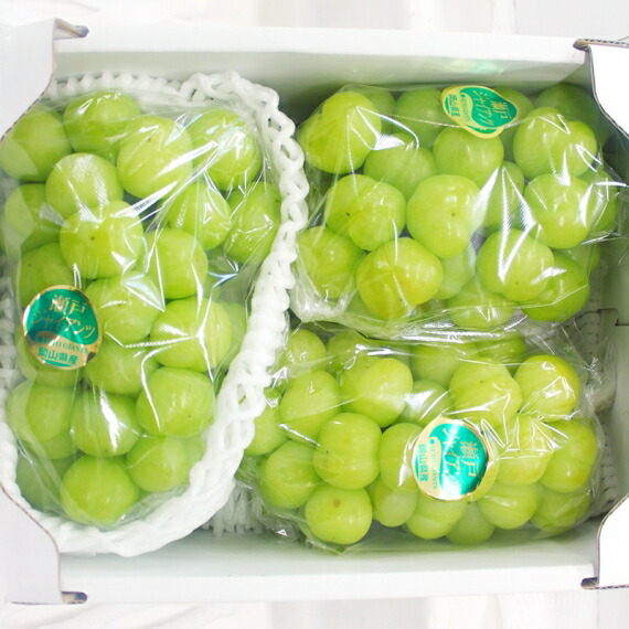 瀬戸ジャイアンツ 【赤秀】 3～5房(2kg) ふるさと物産品