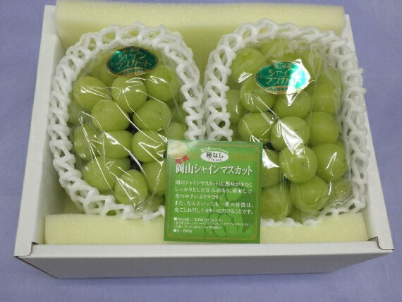 ★予約販売★【産直品】ぶどう岡山産シャインマスカット 2～3房(1.2kg)【送料無料 但し※別途北海道・沖縄送料1,500円】