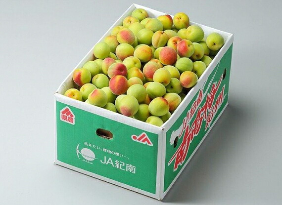 予約販売！紀州 南高梅（青梅）【秀品】 Lサイズ 約10kg 和歌山県産 ※梅の箱が写真と異なる事があります。【送料無料 ※但し北海道・沖縄　別途送料1,500円】