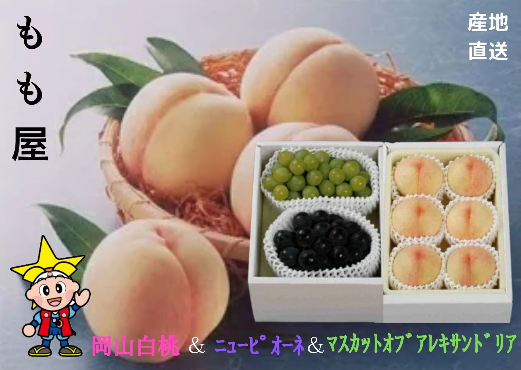 ★予約販売★【産直品】【送料無料】岡山白桃(4～6個)とアレキサンドリア(1房)とニューピオーネ(1房)詰合せ 御礼　御祝　ギフト　【送料無料 ※北海道・沖縄別途送料1,500円】