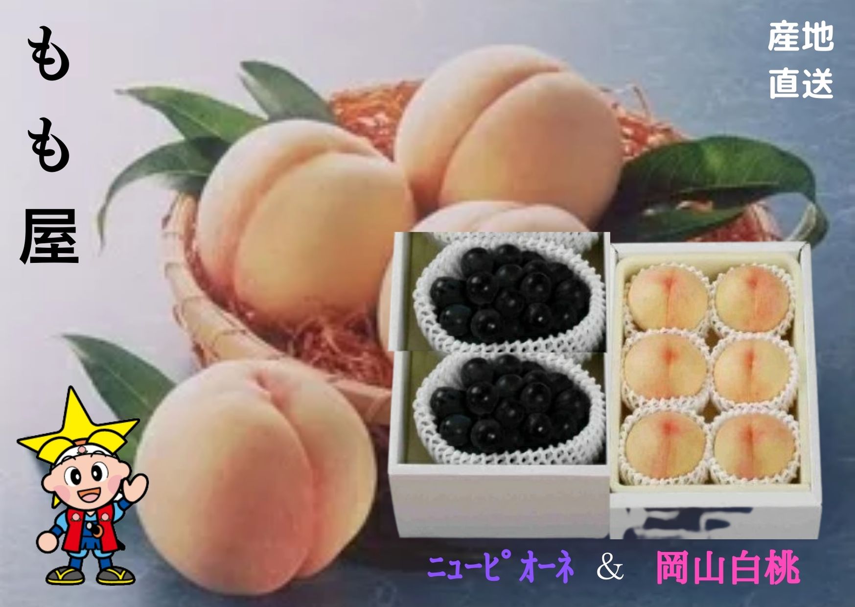 ★予約販売★【産直品】お中元【送料無料 】岡山県産　岡山白桃(4～6個)とニューピオーネ(2房)詰合わせ 【送料無料 ※但し北海道・沖縄別途送料1,500】