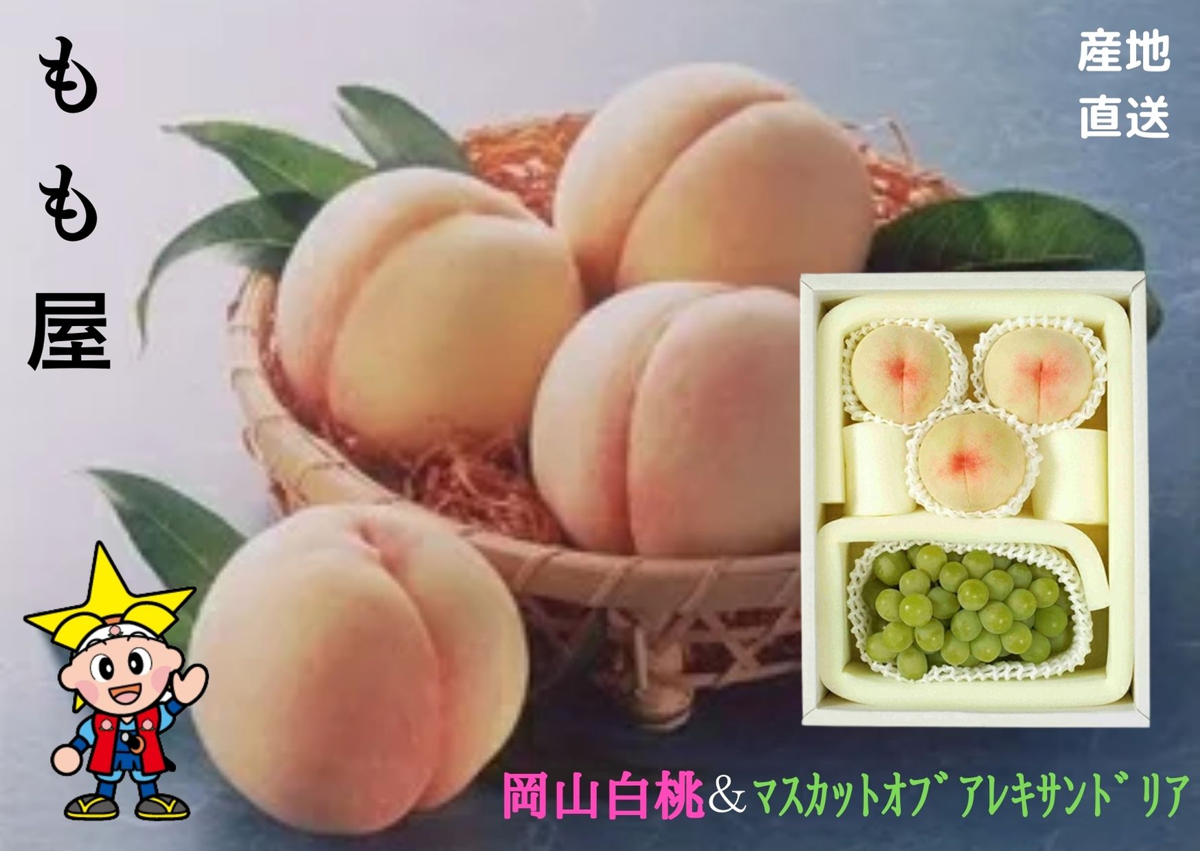 ★予約販売★【産直品】岡山県産　岡山白桃 3～4個とマスカットオブアレキサンドリア1房の詰め合わせ【送料無料 ※但し北海道・沖縄別途送料1,500円】