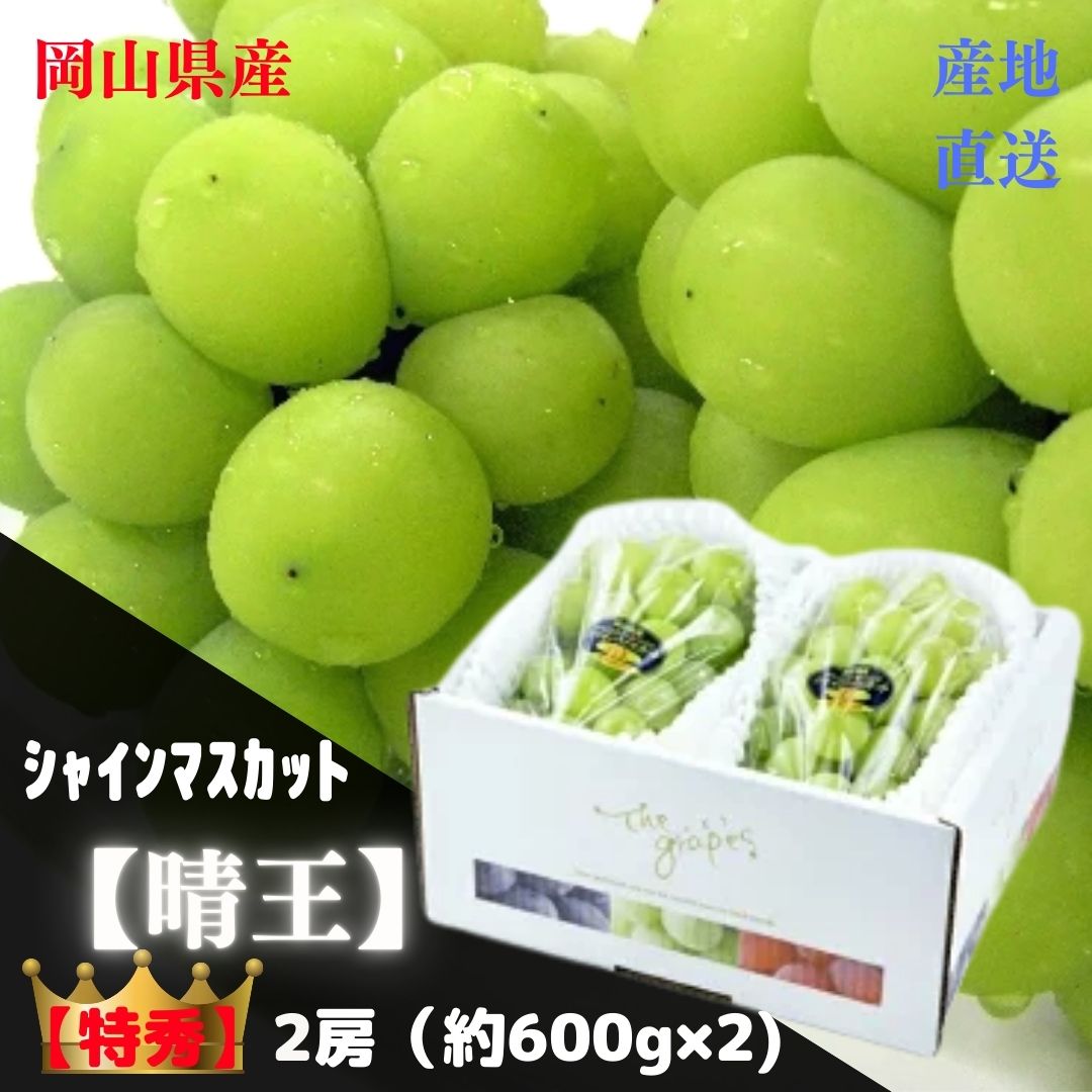 ★予約販売★【産直品】ぶどう シャインマスカット晴王 【特秀】 2房(約600g×2) 「 岡山県産」JA全農おかやま