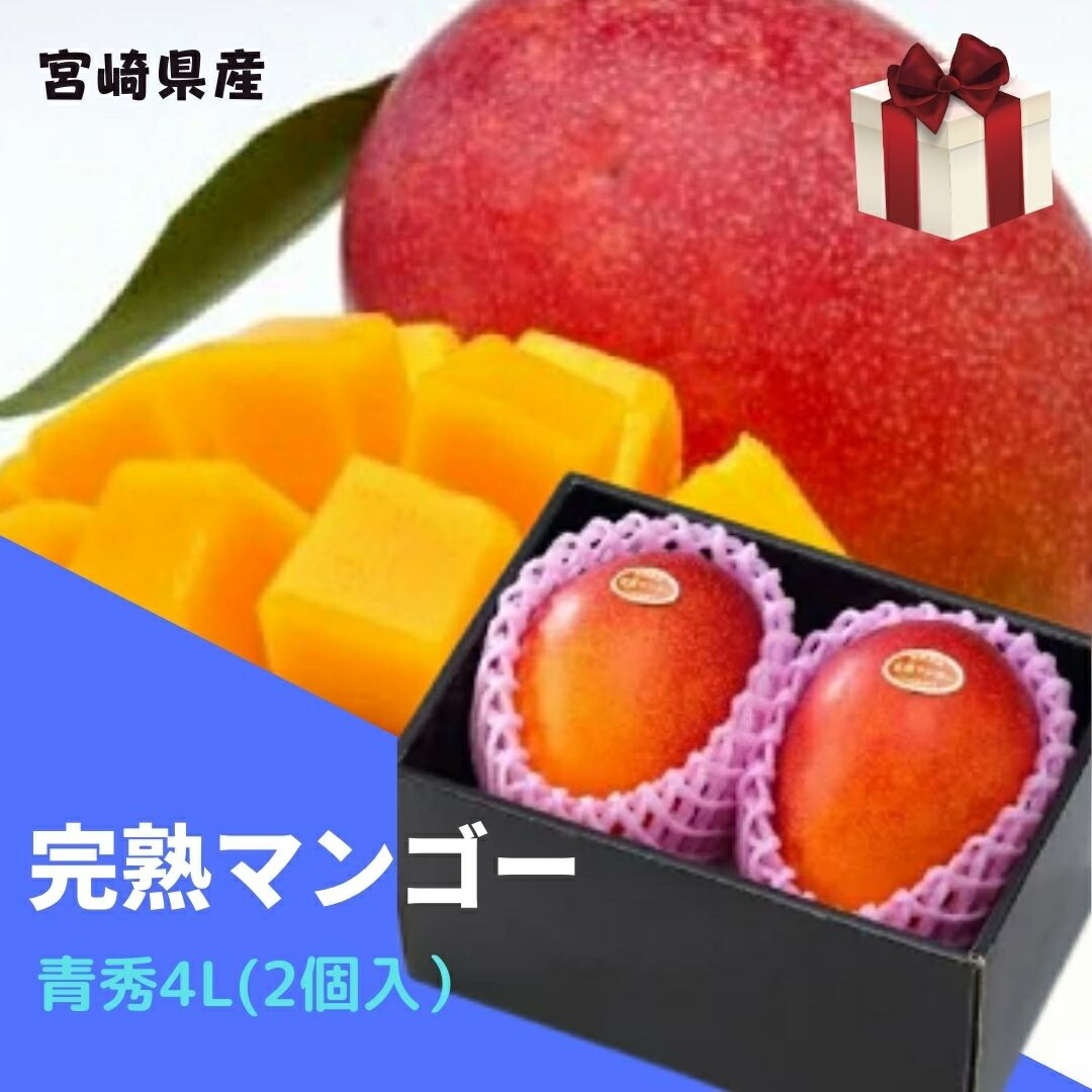 完熟マンゴー 【青秀】 4L(約510ｇ以上×2個) 「情熱みやざきブランド！」【送料無料 ※但し北海道・沖縄別途送料1,500円】