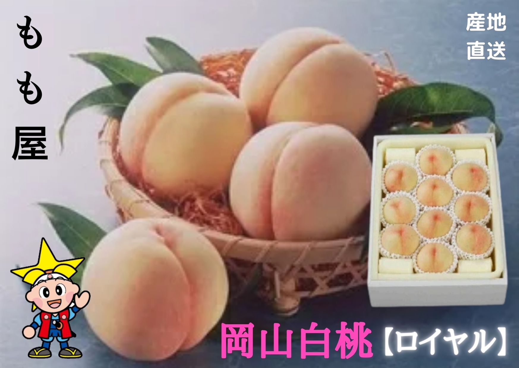 【産直品】【送料無料】岡山白桃 【ロイヤル】 9~12個 約2.7kg 糖度12度以上 贈答用 ギフト【送料無料但し ※別途 北海道・沖縄送料1,500円】|有限会社もも屋