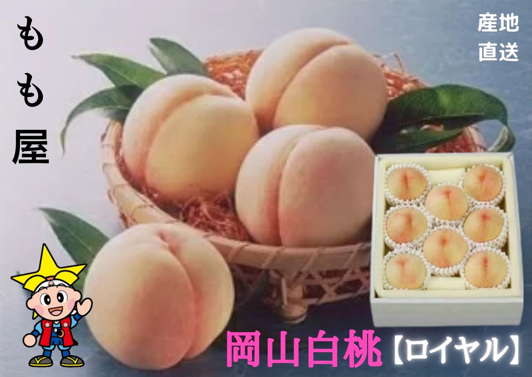 ★予約販売★【産直品】お中元【送料無料 】岡山白桃 【ロイヤル】 6～8個 約1.8kg  贈答用　ギフト　【送料無料 但し※別途北海道・沖縄送料1,500円】