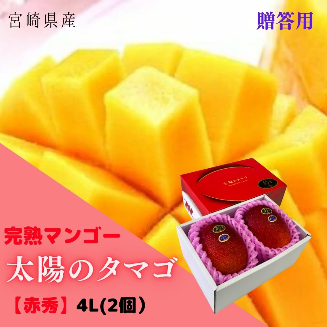 完熟マンゴー【太陽のタマゴ】 赤秀 4L(約510ｇ以上×2個) (糖度15度以上) JA宮崎【送料無料※但し　北海道・沖縄別途￥1500】