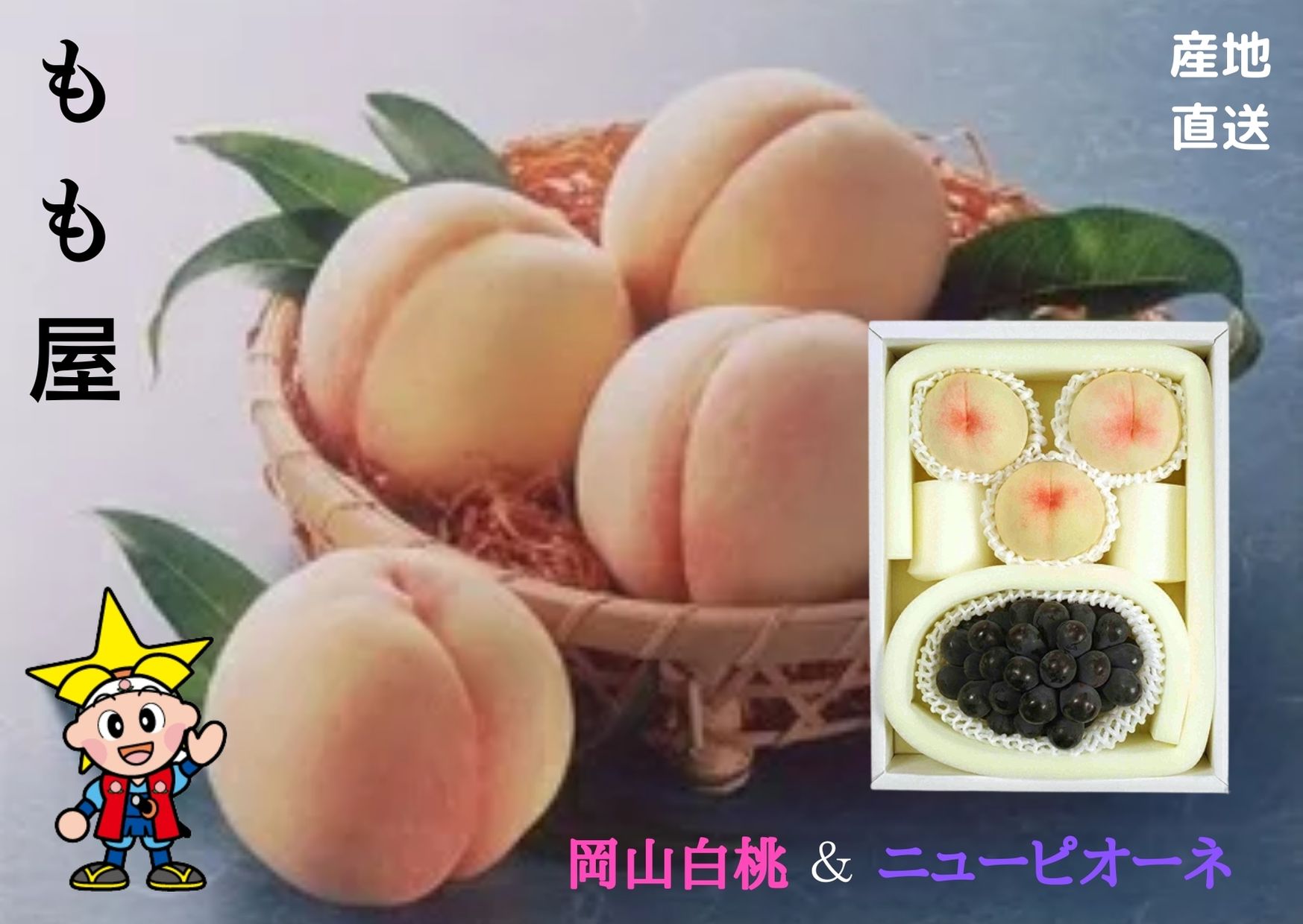 ★予約販売★【産直品】お中元【送料無料 】岡山県産　岡山白桃(3～4個)とニューピオーネ(1房)詰合わせ　【送料無料 ※但し北海道・沖縄別途送料1,500】