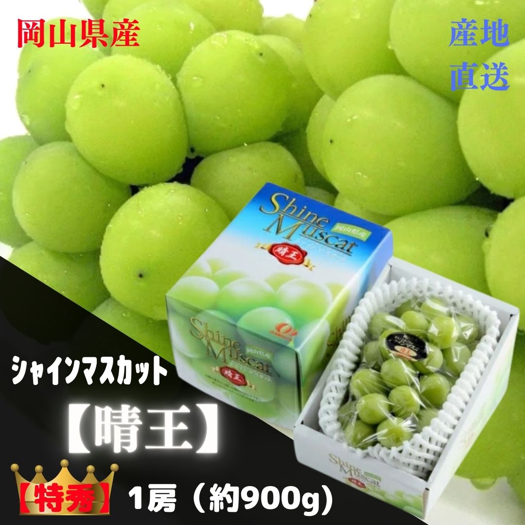 ★予約販売★【産直品】ぶどう シャインマスカット晴王 【特秀】 1房(約900g)　　「 岡山県産」JA全農おかやま送料無料 但し※別途北海道・沖縄送料1,500円】