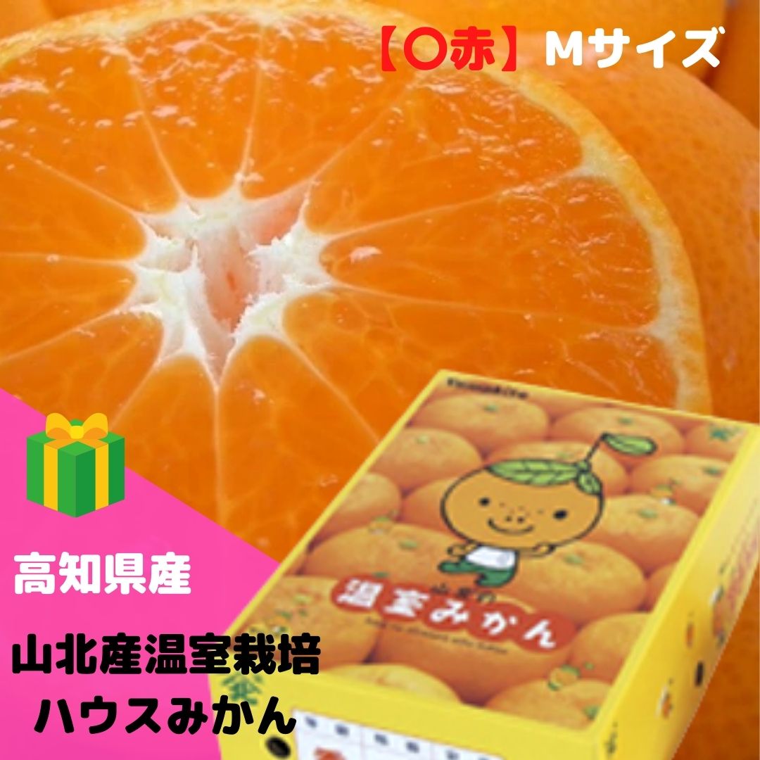 みかん 山北産温室栽培ハウスみかん【〇赤】M(約2.5kg) 高知県 甘さ抜群！【送料無料 ※但し北海道・沖縄別途送料1,500円】