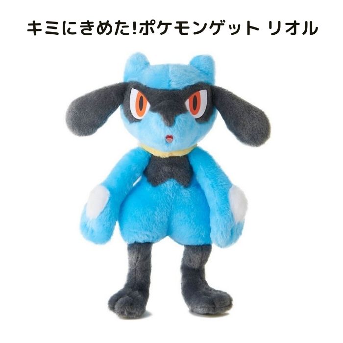 楽天市場】ポケモンセンターオリジナル ぬいぐるみ Pokemon fit