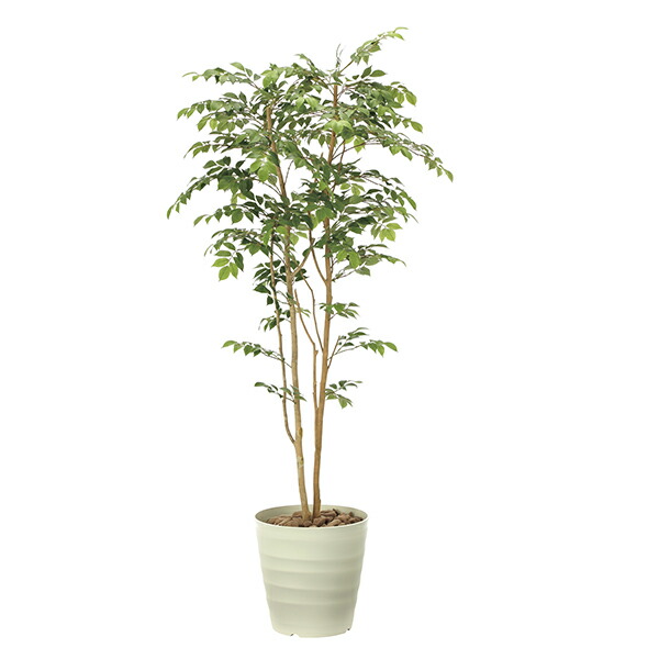 【直送品・大感謝価格 】マウンテンアッシュ1.8 900A360 光触媒人工植物 光の楽園 2019 W80×D70×H180cm