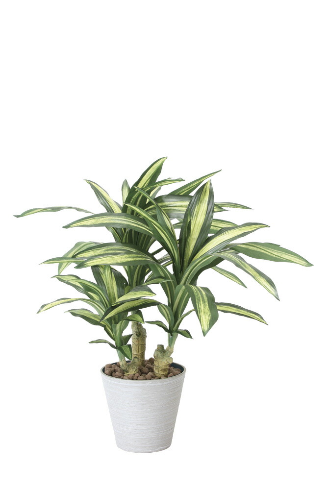光触媒人工植物 光の楽園 2018 幸福ノ木 829A120 W55×D55×H60cm