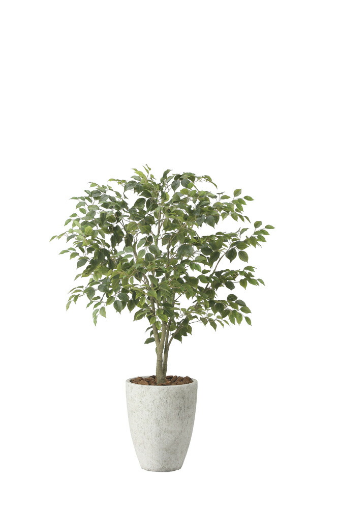 【直送品】ナチュラルフィカスツリー1.5 2424A590 W90×D80×H150糎 光触媒人工草木 光のエデンの園 2024【銀行割引不可品】室内装飾 人工観葉草木 工芸お花 差し上げ物 差し上げ物 花