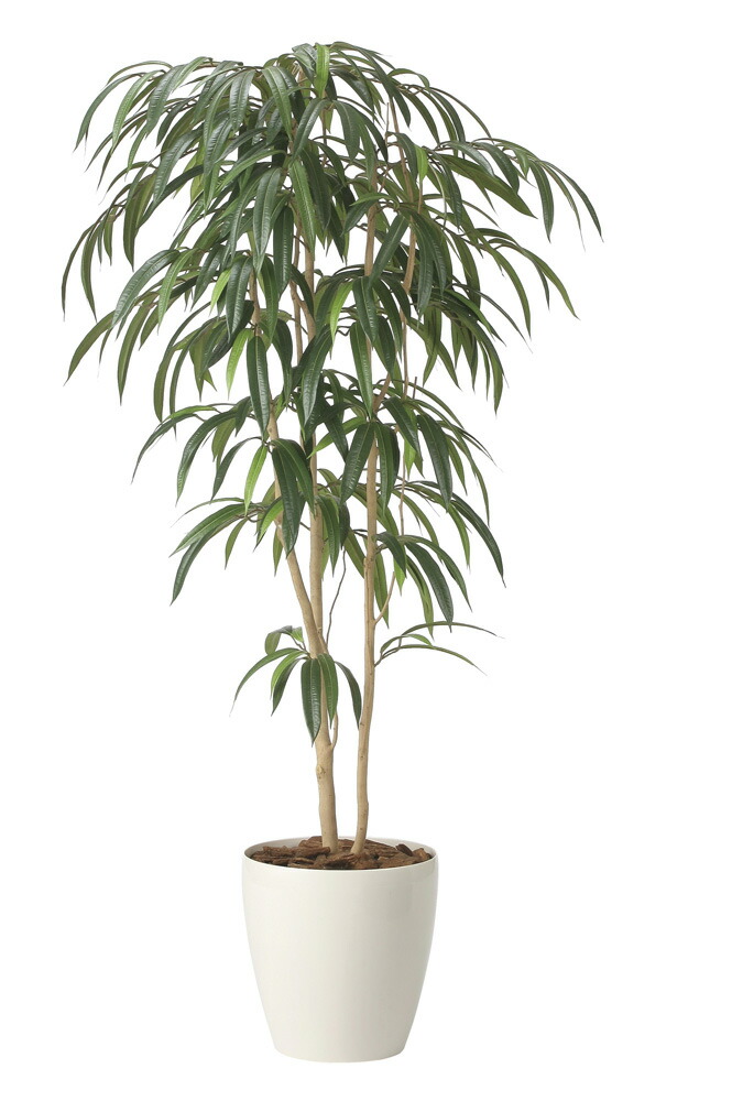 【直送品】ショウナンゴム1.6 2454A400 W75×D60×H160cm 光触媒人工植物 光の楽園 2024【割引不可品】インテリア 人工観葉植物 アートフラワー ギフト 贈り物 花