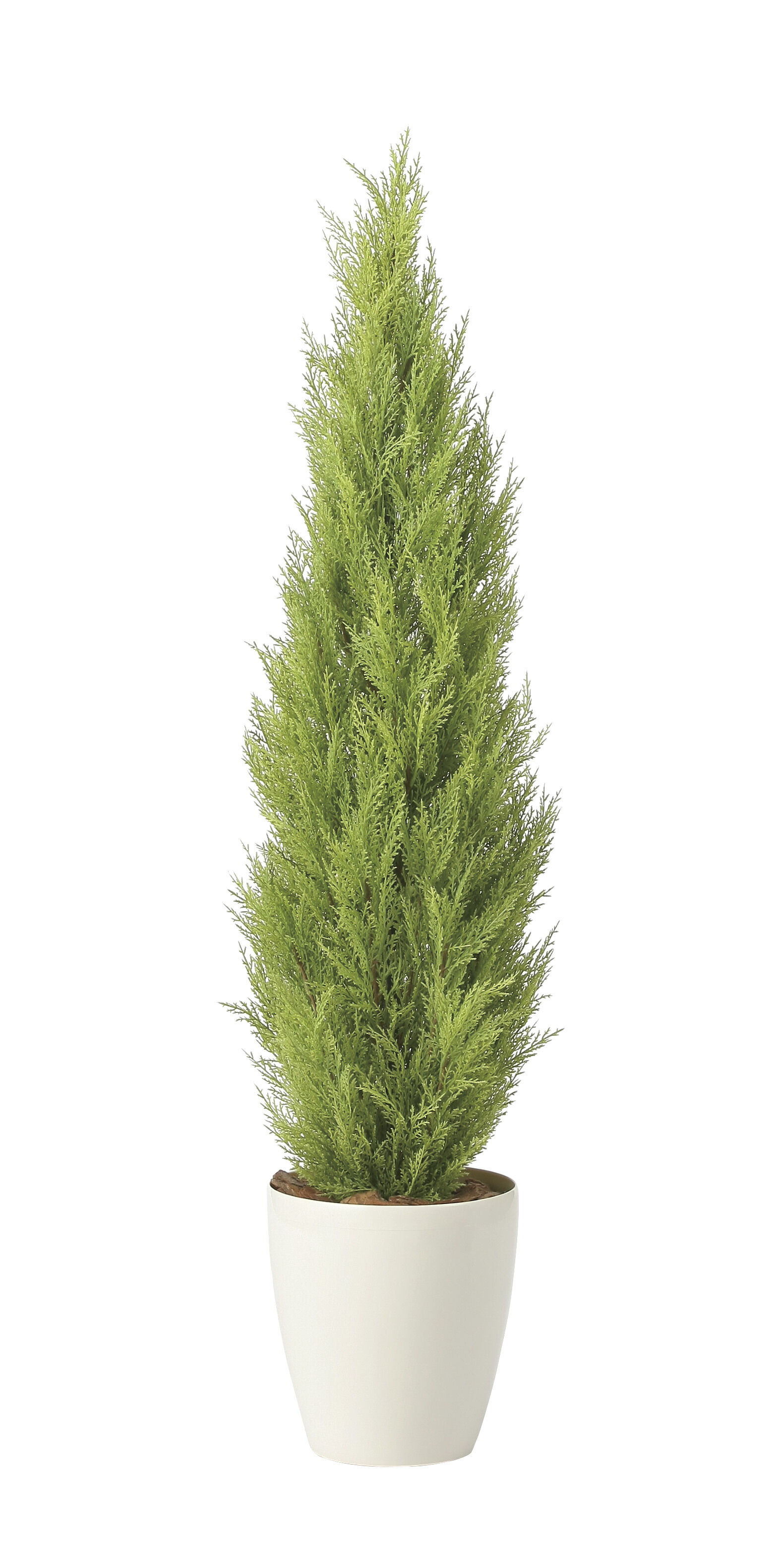 【直送品】ゴールドクレスト1.35 ポリ製 2467A400 W30×D30×H135cm 光触媒人工植物 光の楽園 2024【割引不可品】インテリア 人工観葉植物 アートフラワー ギフト 贈り物 花
