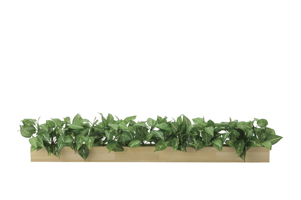 【直送品】ウッドボックスZP 2476A150 W90&times;D17&times;H17cm 光触媒人工植物 光の楽園 2024【割引不可品】インテリア 人工観葉植物 アートフラワー ギフト 贈り物 花｜美と健康をサポート　モンスティル
