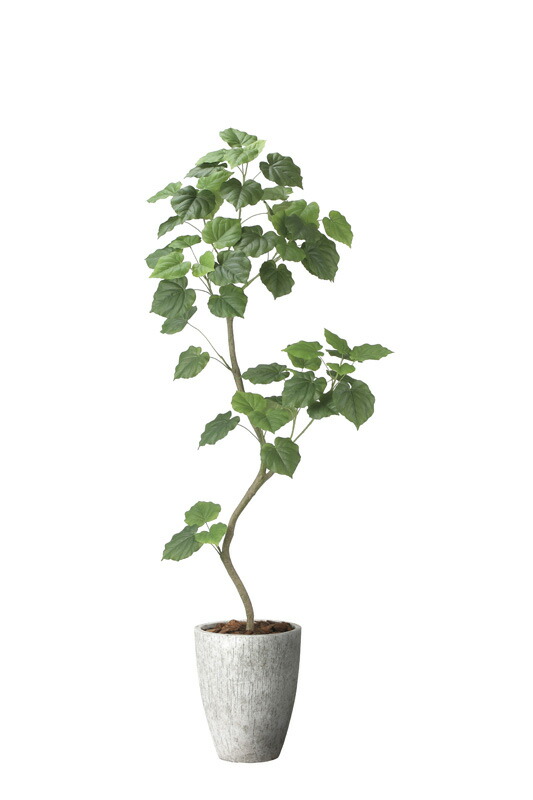 【直送品】ナチュラルウンベラータ1.9 組立式 2499A740 W70×D65×H190cm 光触媒人工植物 光の楽園 2024【割引不可品】インテリア 人工観葉植物 アートフラワー ギフト 贈り物 花|美と健康をサポート モンスティル
