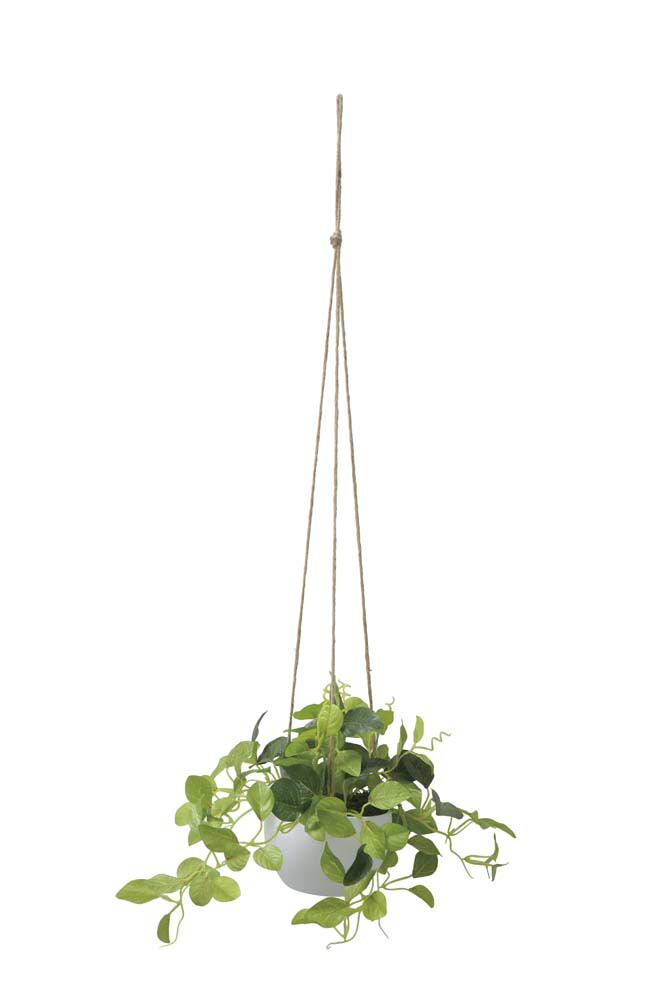 【直送品】チャーリーハンギング 2582A50 W30×D30×H75cm 光触媒人工植物 光の楽園 2025【割引不可品】インテリア 人工観葉植物 アートフラワー ギフト 贈り物 花