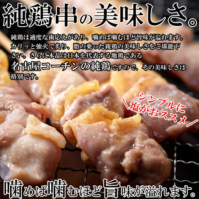 超人気の 100本セット 10本 10個セット 噛めば噛むほど溢れる旨味がたまらない 純鶏名古屋コーチン串10本入り 10セット合計100本焼き鳥 純鶏名古屋コーチン串 親鶏もも肉 ムネ肉 手刺し串 安いそれに目立つ Www Vigos Com Tr