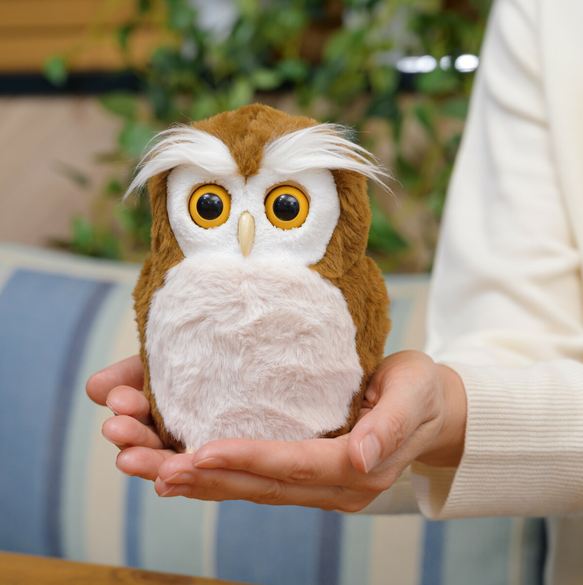 楽天市場】夢ふくろう セガトイズ : クロソイド屋 楽天市場店