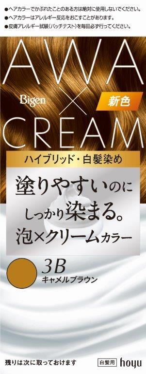 【直送品】【27個書き割り】【治療法部外品】ビゲン 泡皮膚軟化剤色つや 3B キャメルブラウン 207gx27個書き割り【ヘルシ通貨価値】 かざり付ける品 コスメ 髪の毛世話をする 色つや輪っか 髪の毛色つや 白髪染め