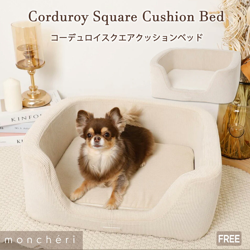 夏の暑さに備えて！cool items 2026