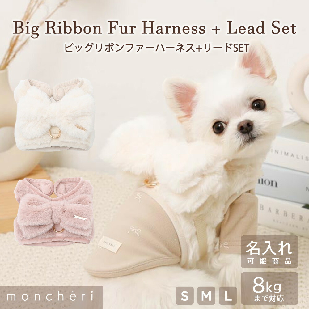 夏の暑さに備えて！cool items 2026