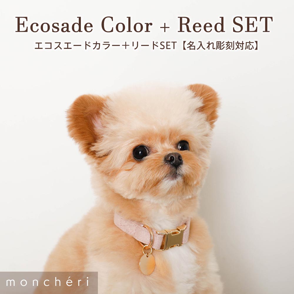 楽天市場】【LINE追加10%OFFクーポン】 moncheri モンシェリ 犬 首輪