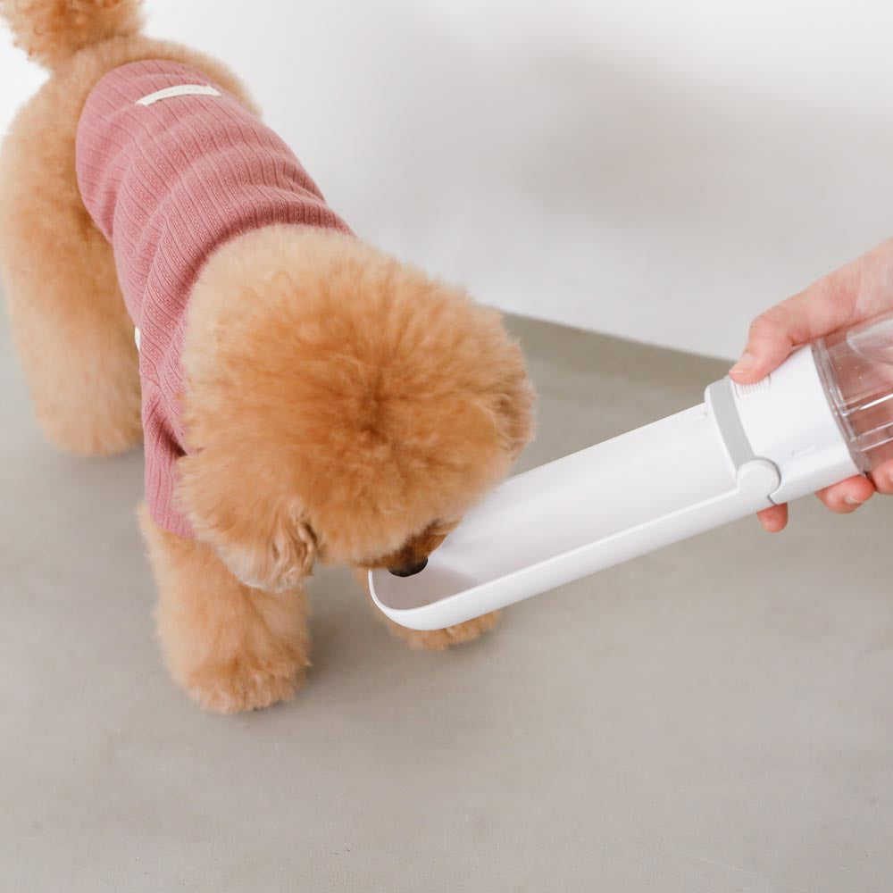 市場 LINE追加10%OFFクーポン 携帯水筒 お出かけ かわいい 犬 モンシェリ moncheri お散歩 市場 LINE追加10%OFFクーポン 携帯水筒 お出かけ かわいい 犬 モンシェリ moncheri お散歩