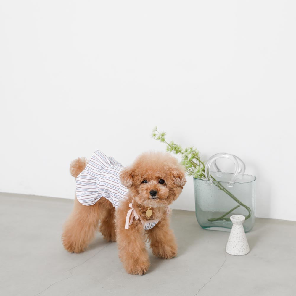 数量限定 Line追加10 Offクーポン Moncheri モンシェリ 犬 夏服 ドッグウェア ワンピース かわいい おしゃれ 人気 ブランド トイプードル チワワ 小型犬 中型犬 Whitesforracialequity Org