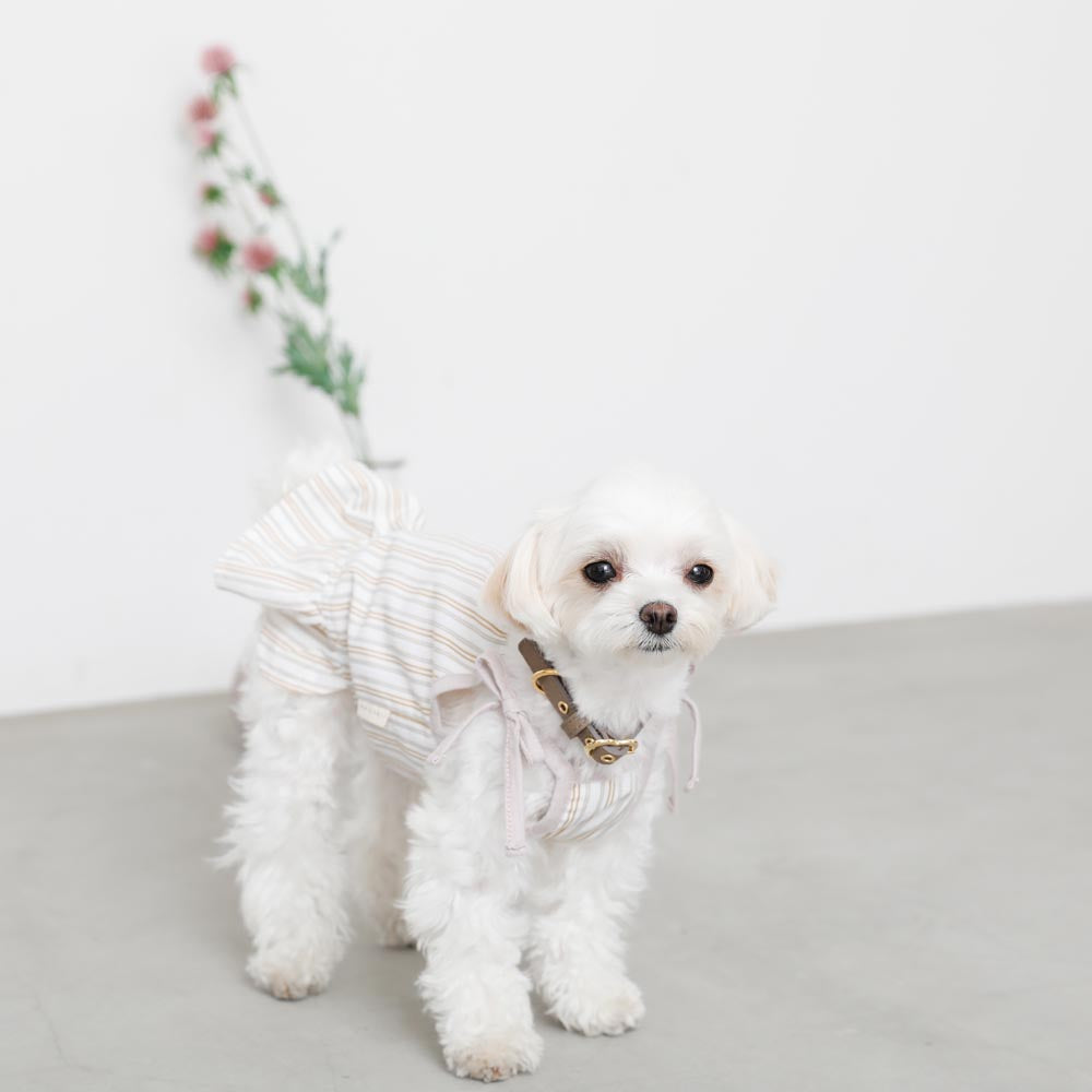 数量限定 Line追加10 Offクーポン Moncheri モンシェリ 犬 夏服 ドッグウェア ワンピース かわいい おしゃれ 人気 ブランド トイプードル チワワ 小型犬 中型犬 Whitesforracialequity Org