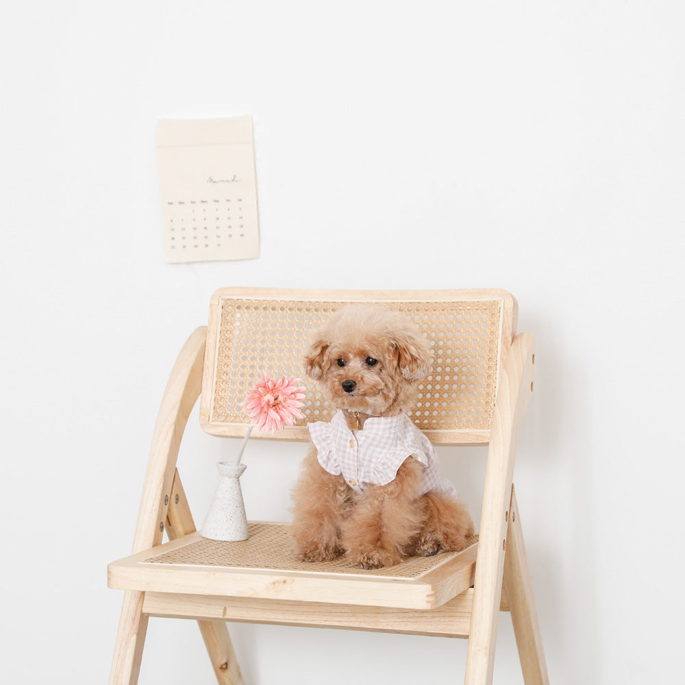 Line追加10 Offクーポン Moncheri 犬 シャツ モンシェリ ドッグウェア 夏服 かわいい