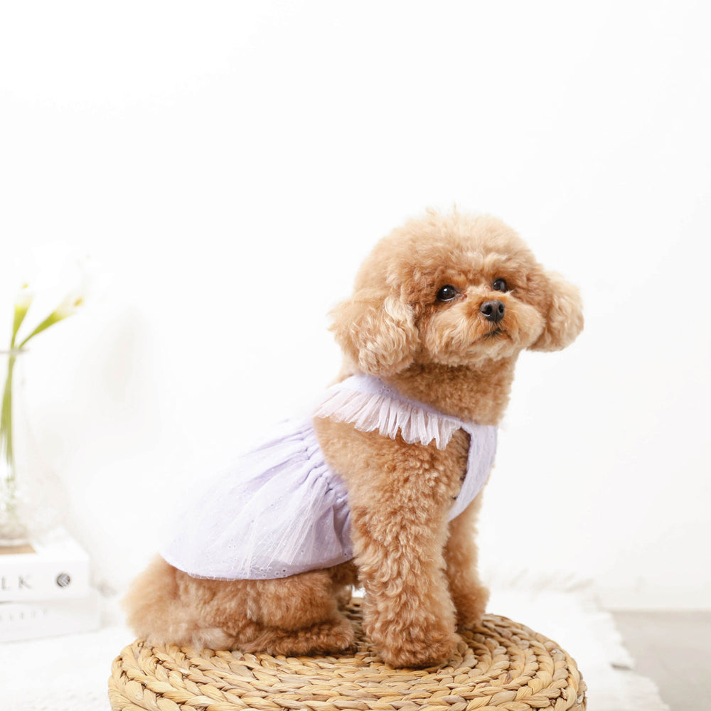 Moncheri モンシェリ 犬 服 ドッグウェア ワンピース かわいい おしゃれ 人気 ブランド トイプードル チワワ 小型犬 中型犬 ドッグウェア 