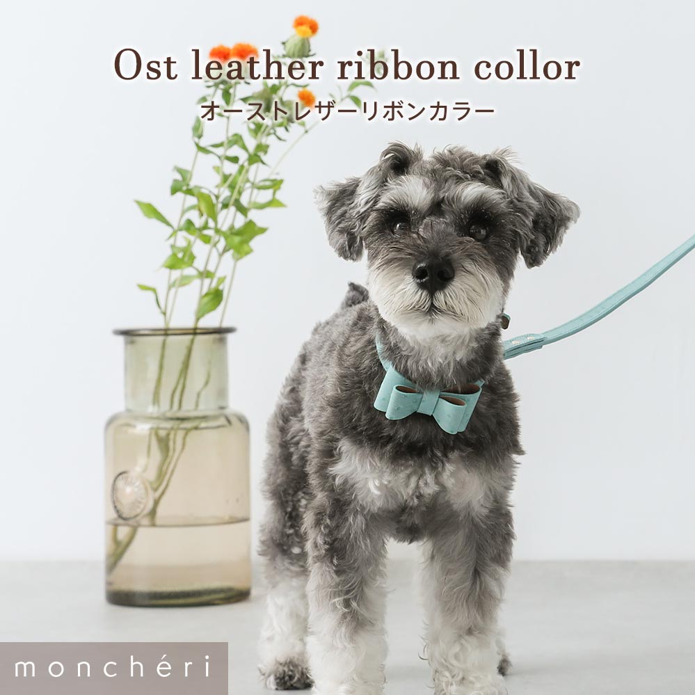 楽天市場】【LINE追加10%OFFクーポン】 moncheri モンシェリ 犬 首輪