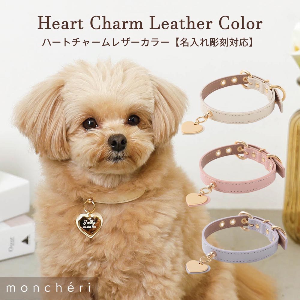 楽天市場】【LINE追加10%OFFクーポン】 moncheri モンシェリ 犬