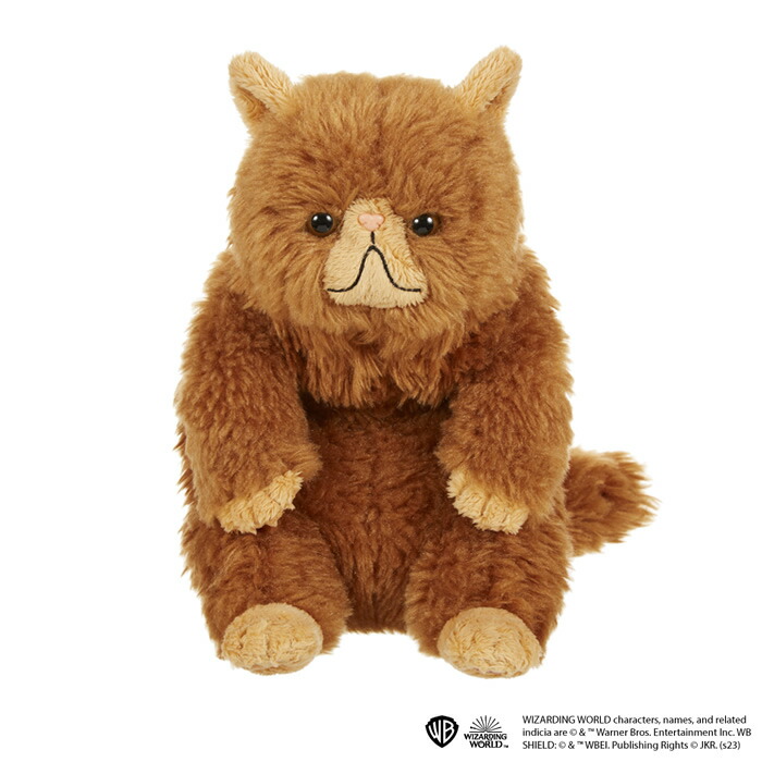 あそんで！クルックシャンクスクルックシャンクス 猫 ネコ