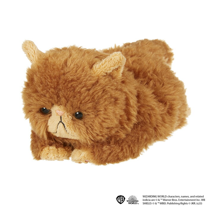 あそんで！クルックシャンクスクルックシャンクス 猫 ネコ