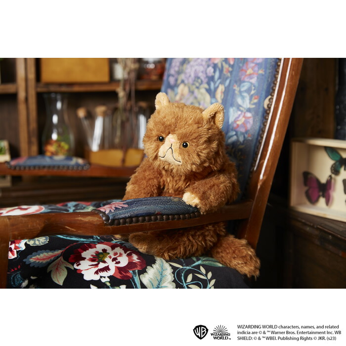 あそんで！クルックシャンクスクルックシャンクス 猫 ネコ