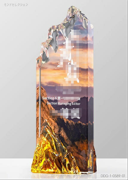 23*8cm 文字刻印無料 クリスタルトロフィー トロフィー 賞 記念品 トロフィー ガラス ガラストロフィー 優勝トロフィー クリスタル バスケ サッカー 野球 ゴルフ 表彰 表彰品 社内表彰 名入れ 卒業記念品 卒業|モンドセレクション