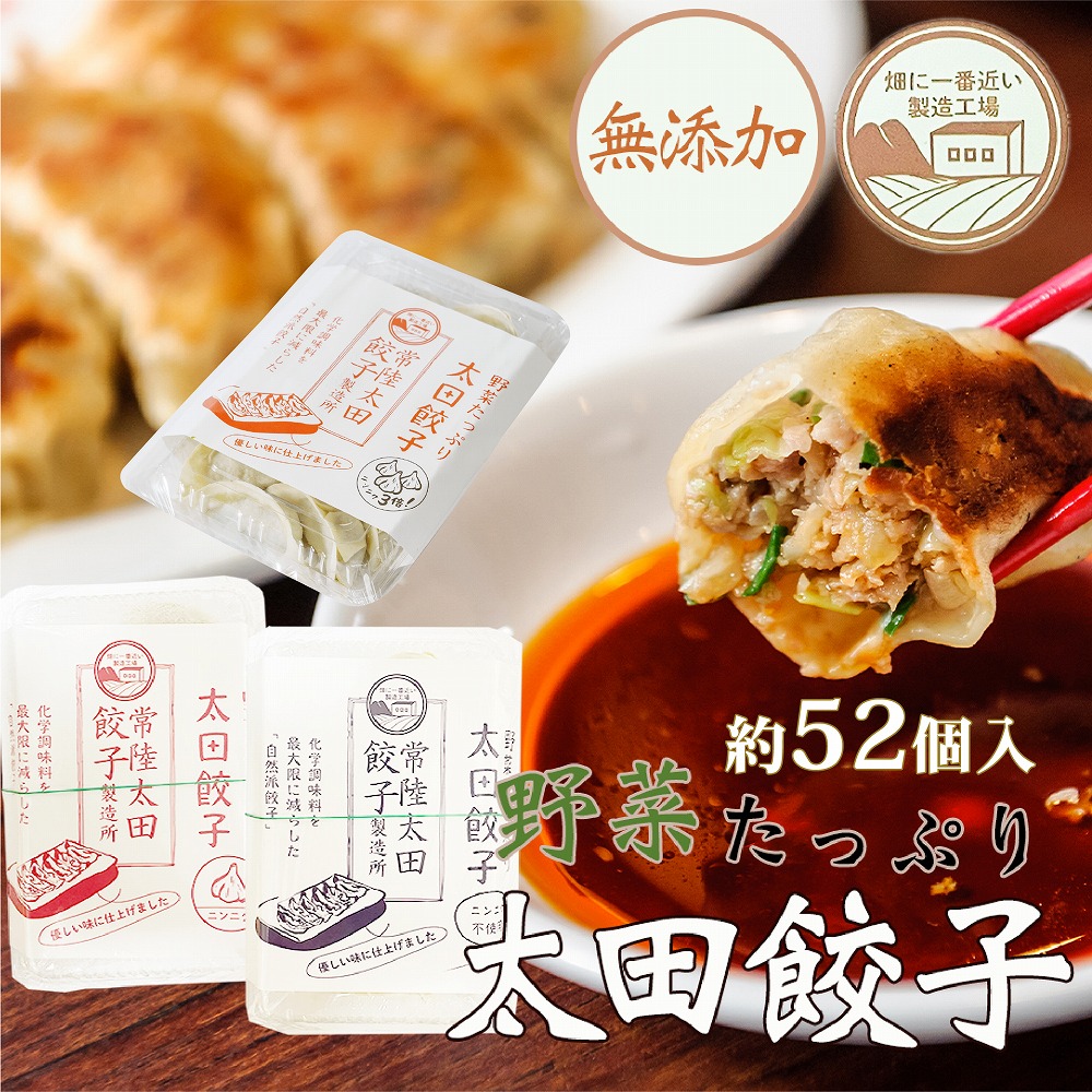 国産 茨城県産 なごみ家 野菜たっぷり 太田餃子 約52個 約1040g (にんにくあり約13個入×4・にんにく不使用約13個入×4・にんにく3倍約13個入り×4) 無添加 冷凍生餃子