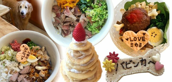 キッチンドック お祝い 冷凍 無添加 犬 ペット ボーン3本セット 送料無料 ドックフード セット 愛犬用 ローズケーキ ケーキセット