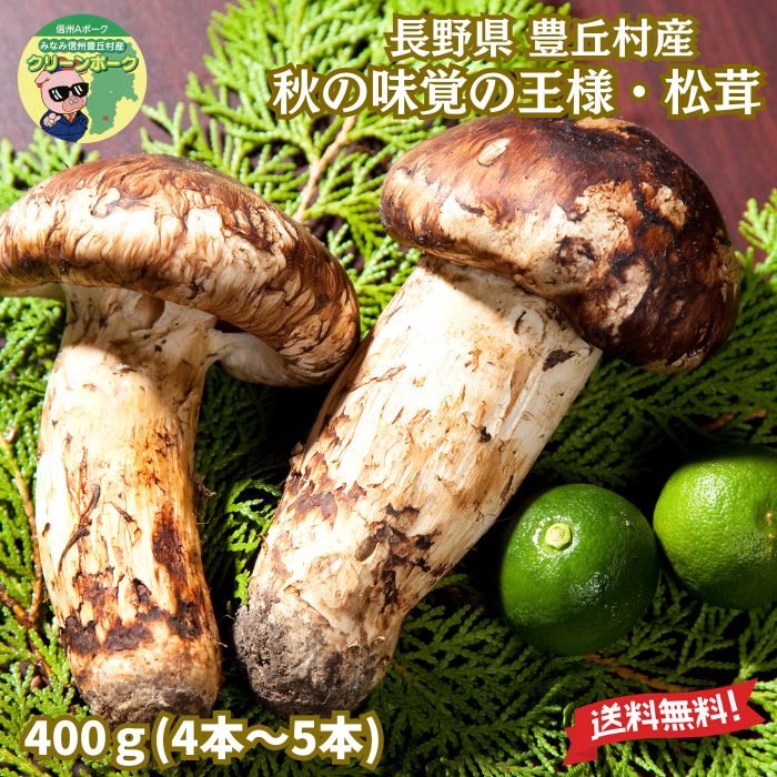楽天市場】長野県産 松茸 200g 国産 長野 香り高い信州産 天然