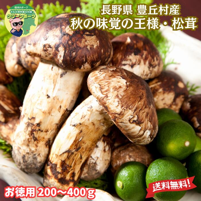 【楽天市場】【 南信州 豊丘村産 】 松茸 お徳用 訳あり お徳用 ( つぼみ、開き、お吸い物用 ) 松茸 200g～400g 】「 松茸 ...