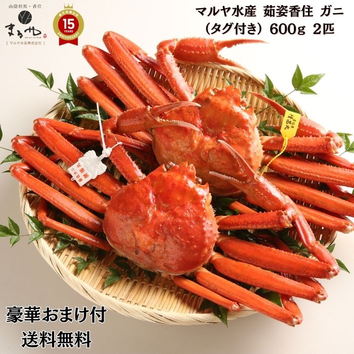 豪華おまけが選べる！ マルヤ水産【 茹姿香住 ガニ （タグ付き） 600ｇx2杯 】(冷凍) プロトン凍結 「 冷凍 父の日 送料無料 香住 蟹 カニ かにみそ カニ カニ爪 むき身 ほぐし身 ボイル 甲羅盛 かに ズワイガニ お取り寄せグルメ 天ぷら 紅ズワイガニ ギフト カニしゃぶ 」