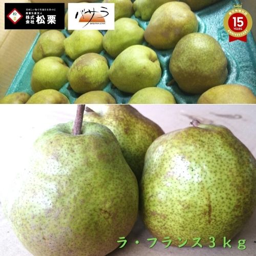 訳アリ家庭用【2024/12月中発送 ご予約受付中】レゲエ農家が作った【 ラ・フランス 】贈答用 3ｋｇ 山形県産 レゲエ農家 松栗 【送料無料】 「 果物 3kｇ 父の日 送料無料 ギフト お年賀 ギフト 内祝 内祝い お返し 出産 快気出産内祝い  出産祝い 歳暮   」