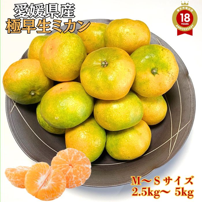 愛媛県産早生みかん S、2Sサイズ約10キロ⭐︎購入後翌日発送出来ます 愛媛県西宇和産極早生みかん 10Kg
