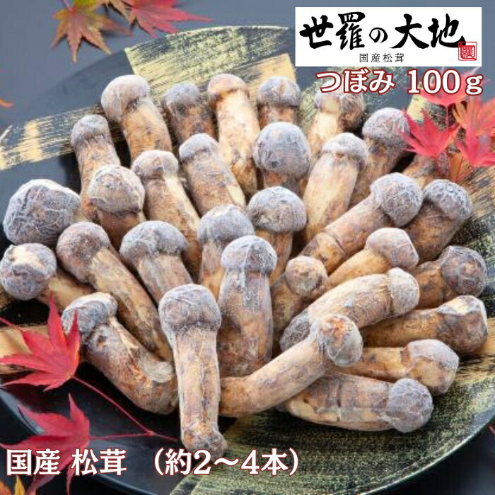 楽天市場】送料無料 天然国産 高野松茸 約200g 300gマツタケ