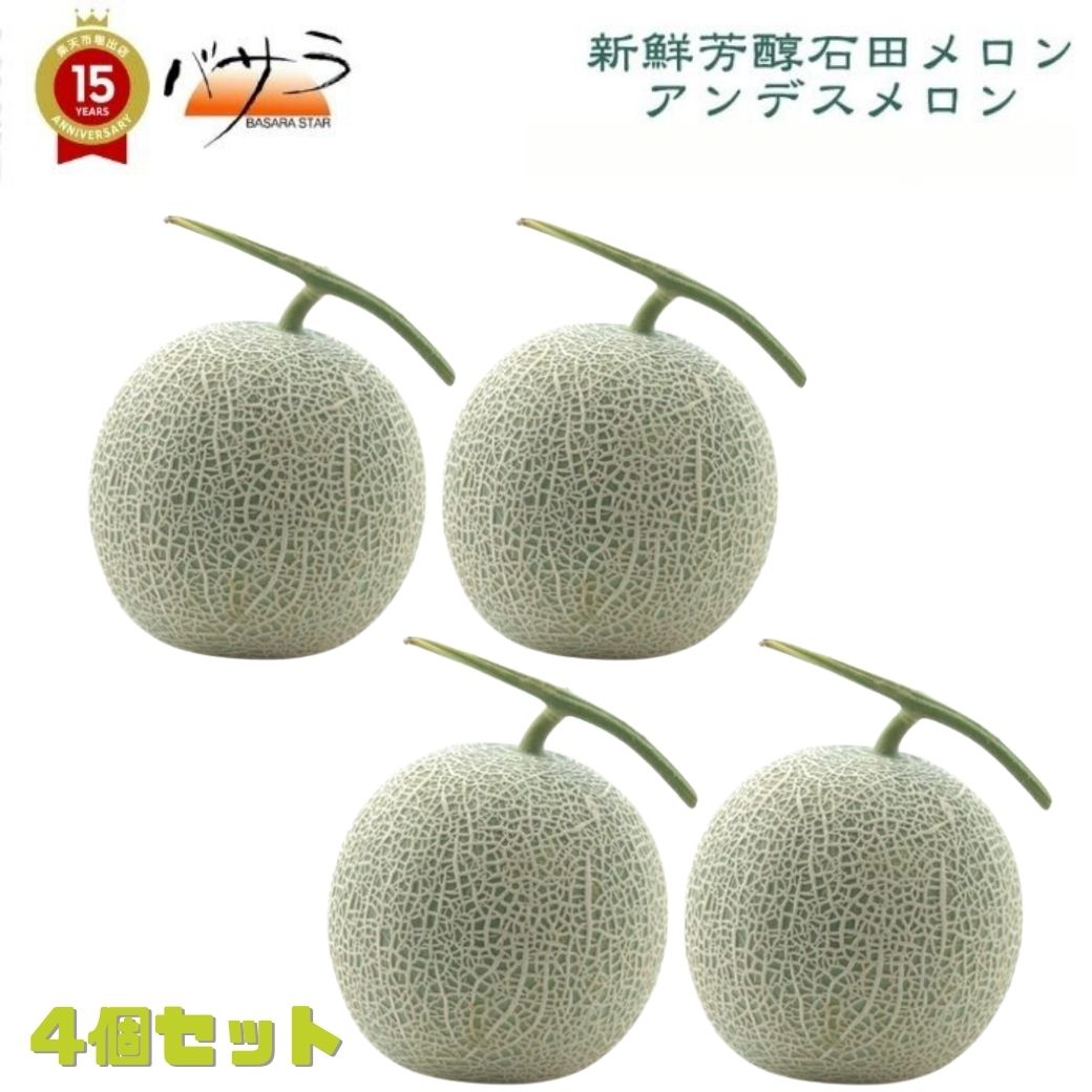 【 2027年度 6月発送予約販売 】 アンデスメロン ( メロン ) 4個 (約2.5kg) [ 送料無料 ]各約1.2kgの大玉2-3Ｌサイズ4個 「 父の日ギフト 茨城 鉾田 高級メロン 旬 果物セット くだもの 高級フルーツ お供え物 フルーツ ギフト 退院祝い 」｜TABEOLOGY（タベオロジー）