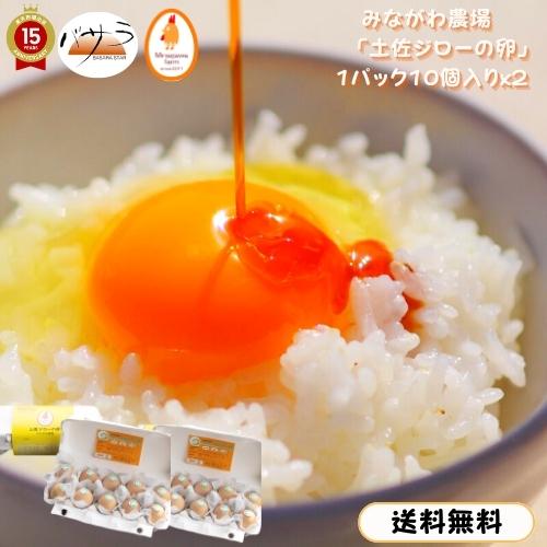 みながわ農場 高知県産 濃厚卵黄 【 送料無料 】【 土佐ジローの卵 】 1パック 10個入りｘ２【 20個 】【 有精卵 】高品質な鶏の卵 安心安全な卵「 新鮮な卵 高たんぱく質 希少な鶏種 高級 結婚祝い 出産祝い お中元 父の日 お中元 お中元 」